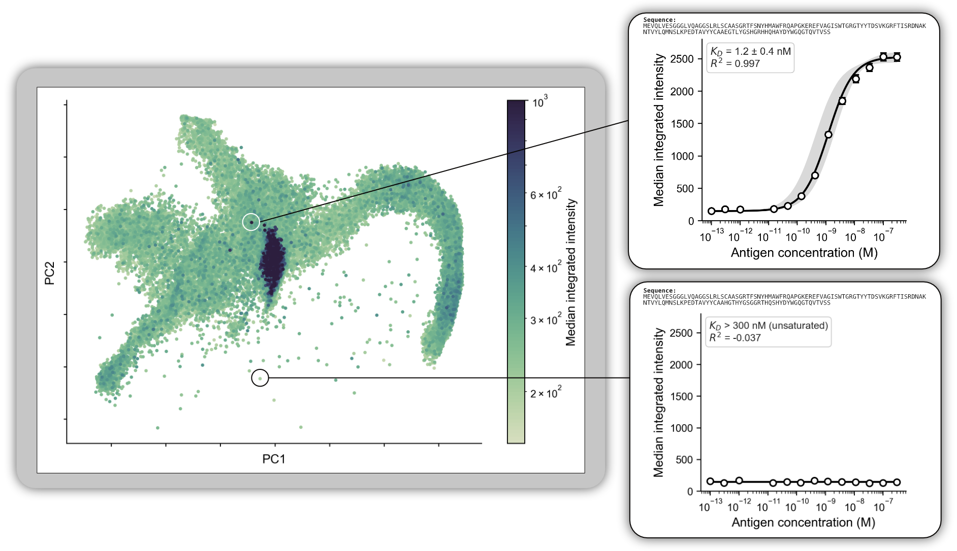Function measured at library scale